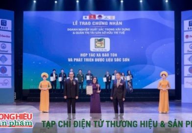 Khẳng định vị thế từ chiến lược quản trị Tài sản Sở hữu trí tuệ bền vững