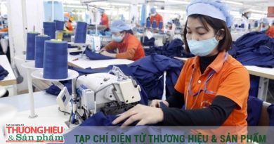 Ngành dệt may Việt Nam cần làm gì để thích ứng với thị trường EU?