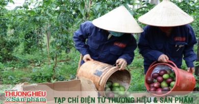 Nông sản Việt khẳng định vị thế