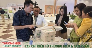 hành trình nâng tầm lúa gạo Việt