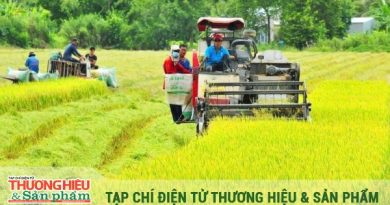 Vì sao thị trường “đỏ mắt” tìm?