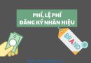 Phải Làm Gì Khi Quên Nộp Lệ Phí Cấp Văn Bằng Bảo Hộ Nhãn Hiệu?
