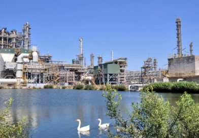 BSR chủ động vượt “bão” năm 2026