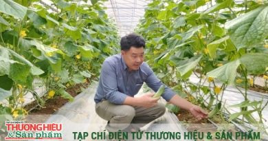 Từ chính sách đột phá đến những mô hình tiên phong trên đồng đất xứ Thanh