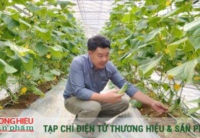 Từ chính sách đột phá đến những mô hình tiên phong trên đồng đất xứ Thanh