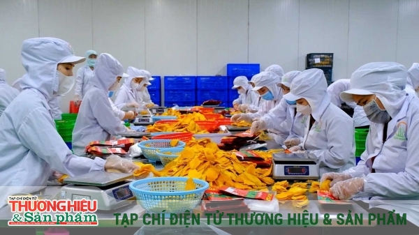 Hướng đi nâng tầm thương hiệu nông sản Việt