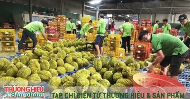 Từ minh bạch nguồn gốc đến hành trình vươn xa của nông sản Việt