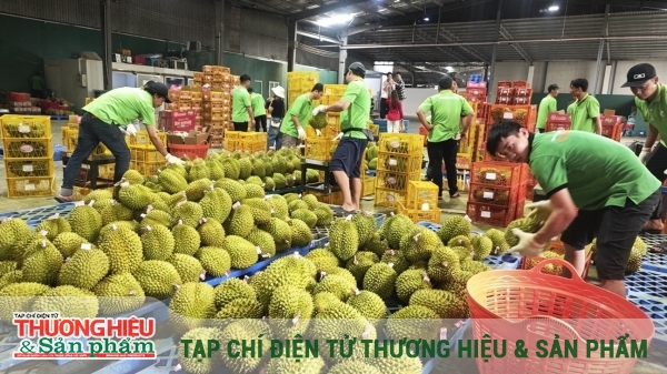 Từ minh bạch nguồn gốc đến hành trình vươn xa của nông sản Việt