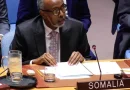 Somalia đảm nhiệm cương vị Chủ tịch Hội đồng Bảo an Liên hợp quốc