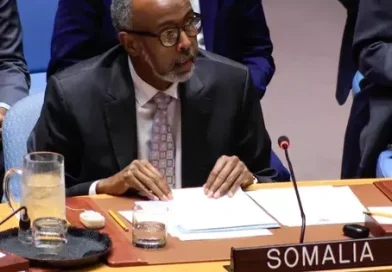 Somalia đảm nhiệm cương vị Chủ tịch Hội đồng Bảo an Liên hợp quốc
