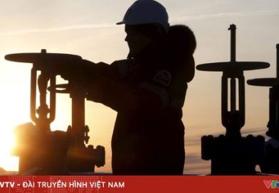 OPEC dự báo nhu cầu dầu mỏ toàn cầu tiếp tục tăng trong năm 2027