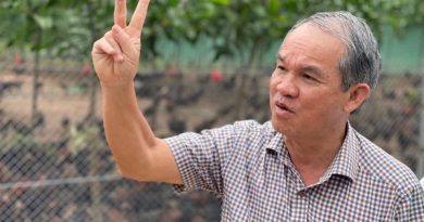 Dự án bất động sản cuối cùng của bầu Đức tại Gia Lai: Căn hộ giá 20