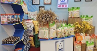 Lên HoSE, AFIEX báo lãi tăng mạnh trong năm 2025