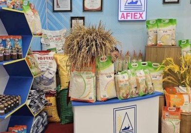 Lên HoSE, AFIEX báo lãi tăng mạnh trong năm 2025