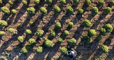 Thế giới bước vào kỷ nguyên “phá sản nguồn nước”