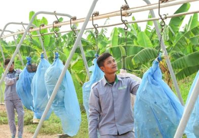 Siêu dự án 750 triệu đô của doanh nghiệp Việt phía sau “cuộc lột xác” của vùng đất Nam Lào