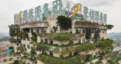 Loạt cổ phiếu BĐS tăng mạnh sau ‘tin đồn’ Trung Quốc dỡ “ba lằn ranh đỏ’