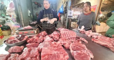 Giá lợn hơi sắp lên 80.000 đồng/kg, người chăn nuôi lãi đậm