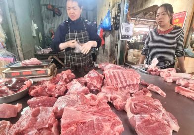 Giá lợn hơi sắp lên 80.000 đồng/kg, người chăn nuôi lãi đậm