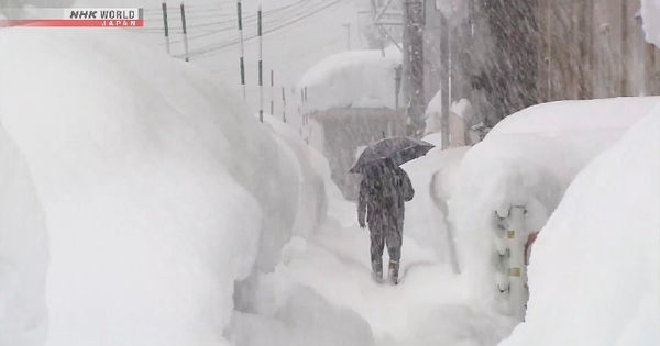 Nhiều người bị tuyết vùi lấp tử vong tại Nhật Bản