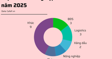 HAGL Agrico lỗ gần 1.000 tỷ, bất động sản, logistics chiếm sóng