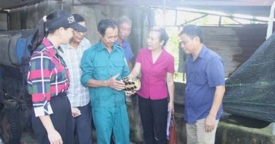 Từng bị lũ cuốn sạch tài sản, nữ nông dân biến 10ha ‘đất chết’ thành mỏ vàng nuôi rùa, vịt, ba ba…, thu lời đến 1 tỷ đồng/năm