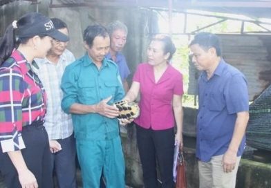 Từng bị lũ cuốn sạch tài sản, nữ nông dân biến 10ha ‘đất chết’ thành mỏ vàng nuôi rùa, vịt, ba ba…, thu lời đến 1 tỷ đồng/năm