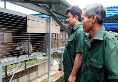 Vay 50 triệu nuôi 100 con vật hoang, tiền ăn 3.000 đồng/con/ngày, cựu chiến binh lãi đậm