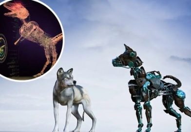 AI tạo ra động vật ảo biết nhìn khiến giới khoa học kinh ngạc