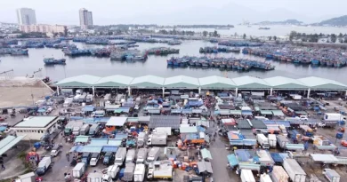 Cảng cá lớn nhất miền Trung sẽ thành cảng du lịch