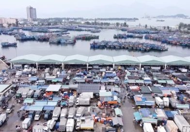 Cảng cá lớn nhất miền Trung sẽ thành cảng du lịch