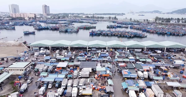 Cảng cá lớn nhất miền Trung sẽ thành cảng du lịch