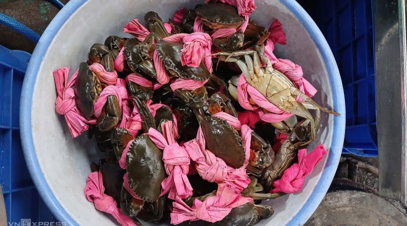 Cá lóc, tôm cua tăng đến 50% ngày vía Thần Tài