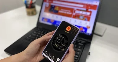 Tối nay, tạm dừng hệ thống thuế điện tử