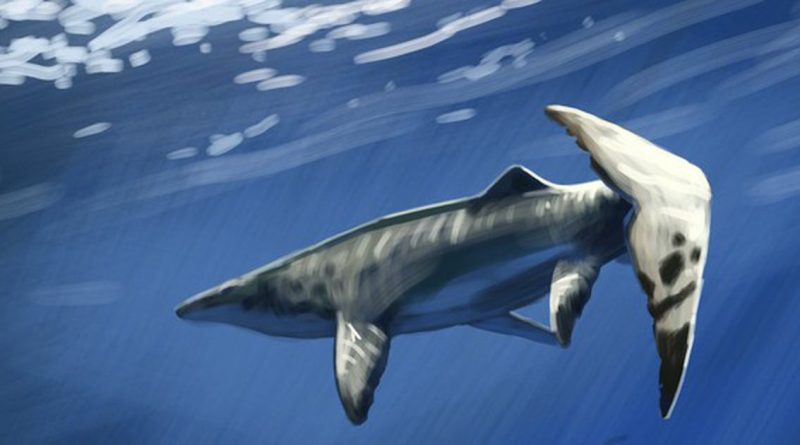 Thủy quái dài 9 mét xuất hiện giữa mỏ phốt phát