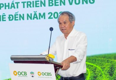 Bầu Đức muốn xây nhà máy 1.000 tỷ đồng biến rác nông nghiệp thành ‘cỗ máy in tiền’ 133 triệu USD