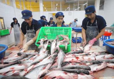 Giá cước tăng cao, lúa gạo, thủy sản, phân bón cùng gặp khó