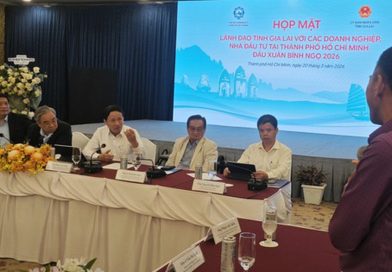 Gia Lai chọn 6 doanh nghiệp quy mô tỉ USD để xây dựng thương hiệu quốc tế