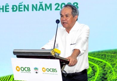 Bầu Đức làm cụm công nghiệp nhưng không cho thuê, không bán nền