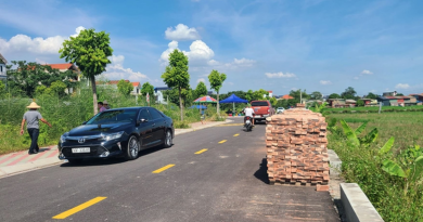 Giá rao bán đất nền Hà Nội đầu năm 2026 giảm