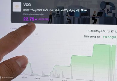 Cổ phiếu Vinaconex tăng trần liên tục