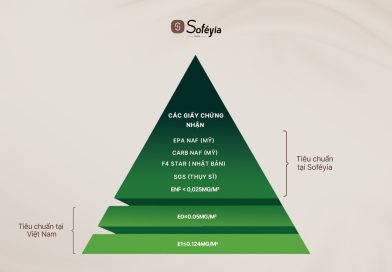 Soféyia – Thương hiệu nội thất tùy chỉnh tái định vị tầm nhìn thương hiệu