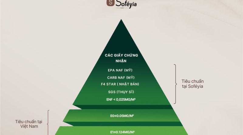 Soféyia – Thương hiệu nội thất tùy chỉnh tái định vị tầm nhìn thương hiệu