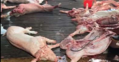 Công ty CP Dịch vụ suất ăn Công nghiệp Hà Nội nói mình là “nạn nhân”