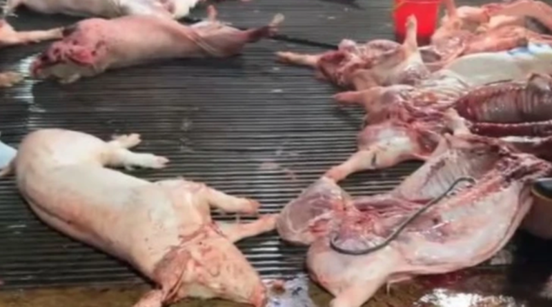 Công ty CP Dịch vụ suất ăn Công nghiệp Hà Nội nói mình là “nạn nhân”