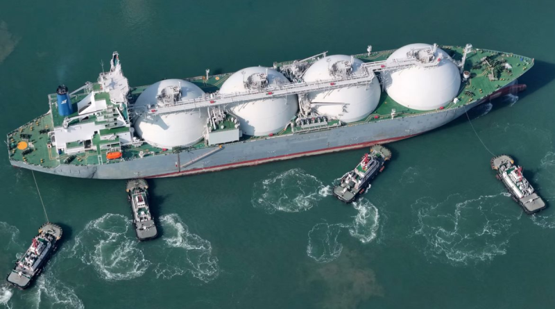 Mua 1 lời 3, mỗi chuyến hàng mang về hàng chục triệu USD