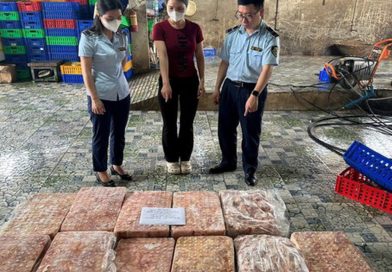 Tiếp tục phát hiện loạt sai phạm nghiêm trọng của các hộ kinh doanh, hàng nghìn sản phẩm bị tạm giữ, tiêu hủy