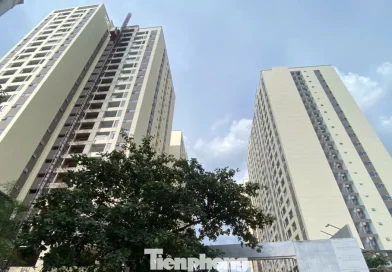 Chủ đầu tư nhà ở xã hội được miễn giấy phép xây dựng