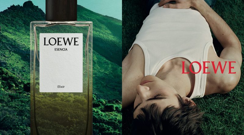 Cùng ngắm nhìn chiến dịch quảng bá nước hoa LOEWE đầu tiên của Jack McCollough và Lazaro Hernandez.