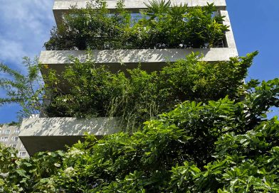 TAA OFFICE Nhà Hộp Rỗng – Khu rừng giữa đô thị – Tạp chí Kiến trúc Việt Nam